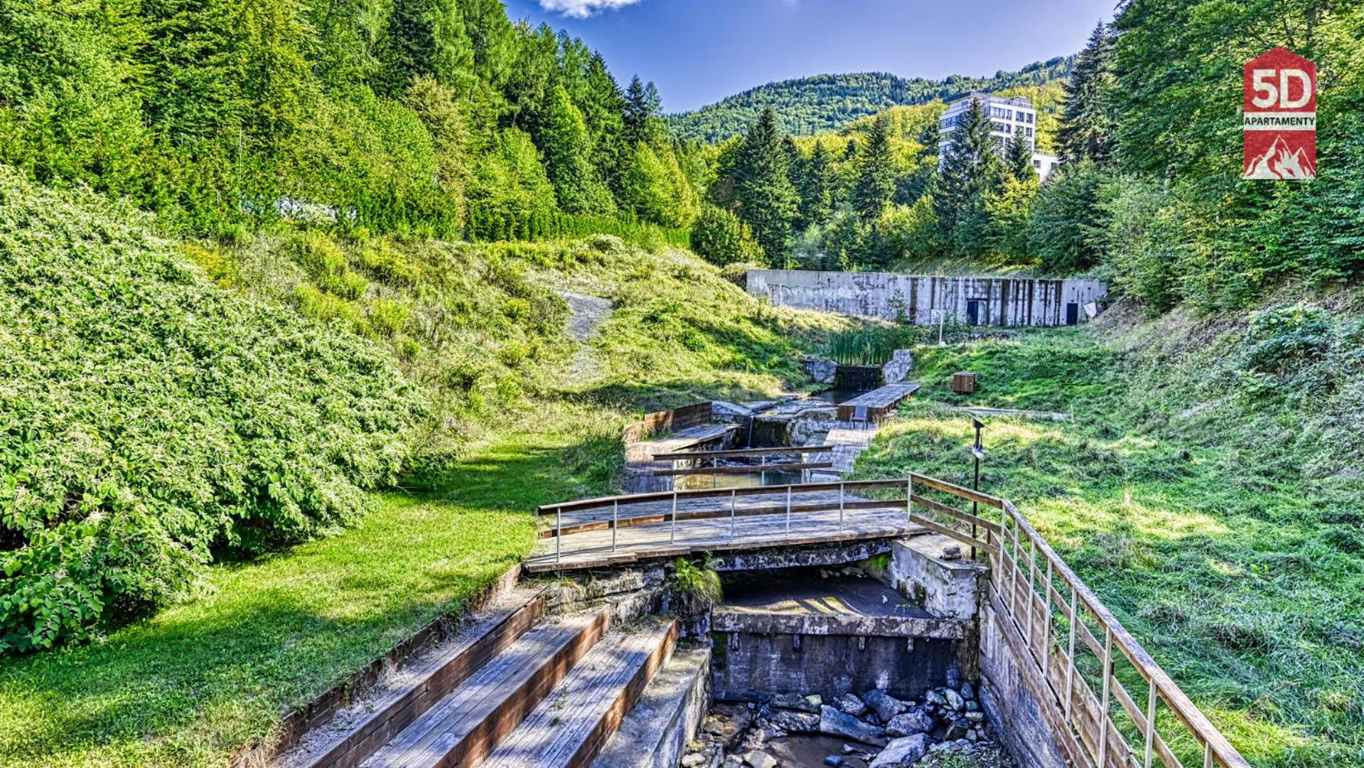 10 Kozubnik Blisko Szczyrk - 5d * Porabka